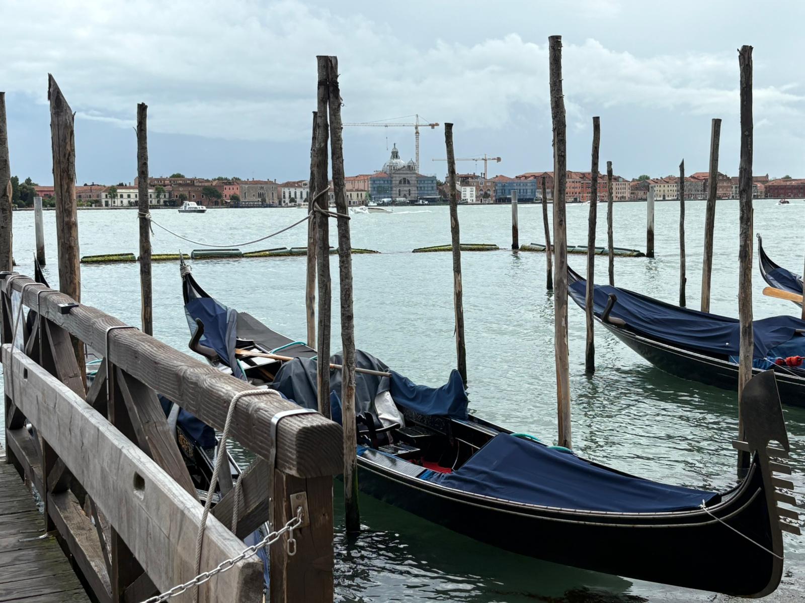 Gondolas docked at wooden pier with covered tops; historic buildings in cloudy background.
