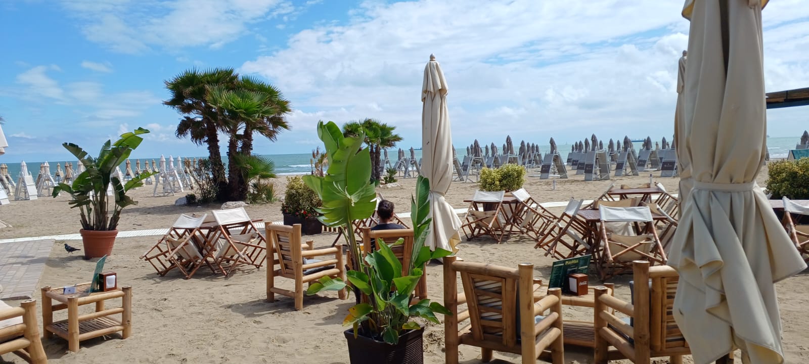 Sandy beach with chairs, tables, closed umbrellas, palm trees, ocean view, and partly cloudy sky.