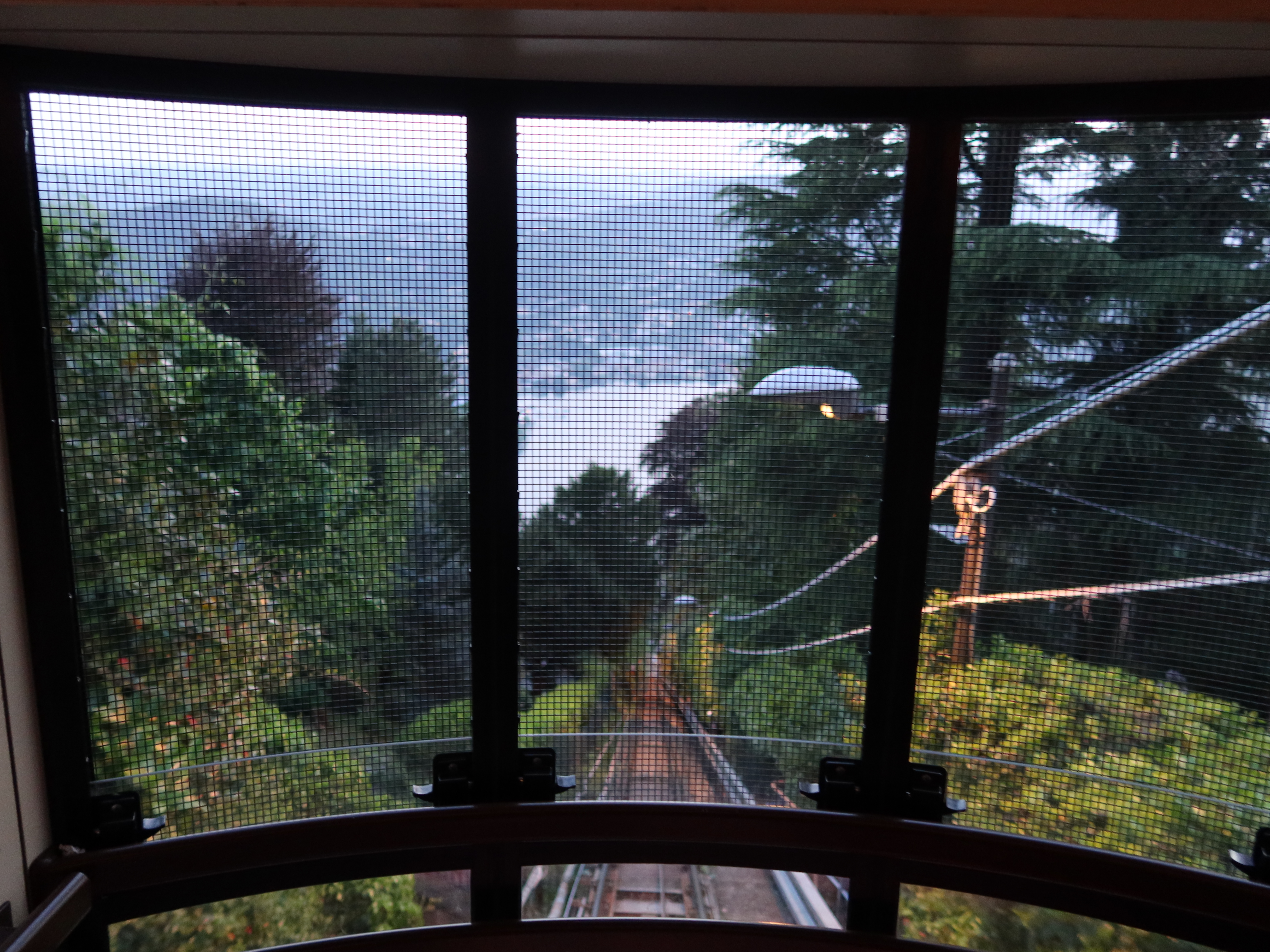 View from inside a funicular car, tracks leading downhill, trees, water, hills visible through mesh.