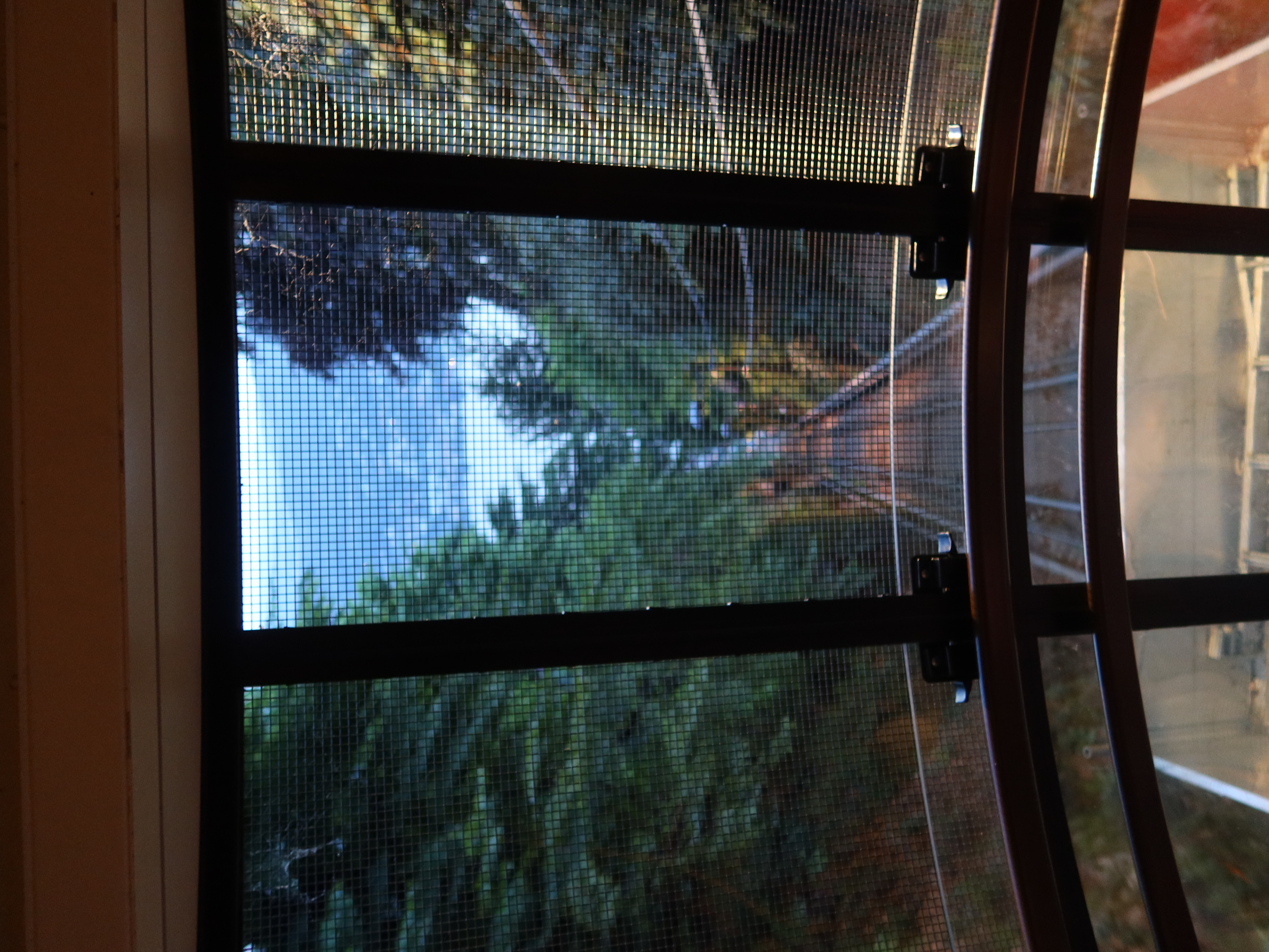 View from a funicular window down track with greenery and distant water through a mesh screen.