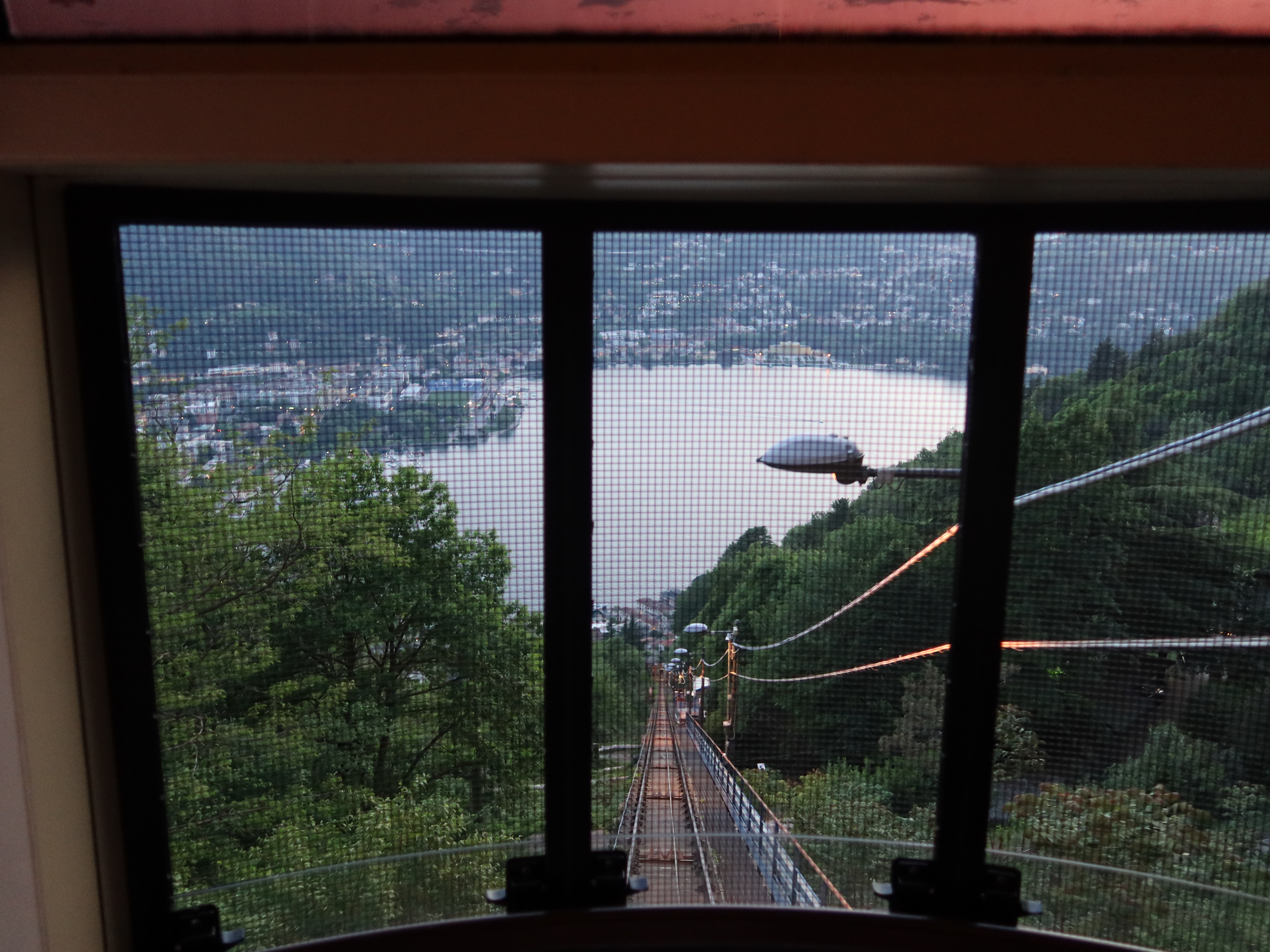 View from inside cable car, mesh screen, green foliage, track, water, buildings in background.