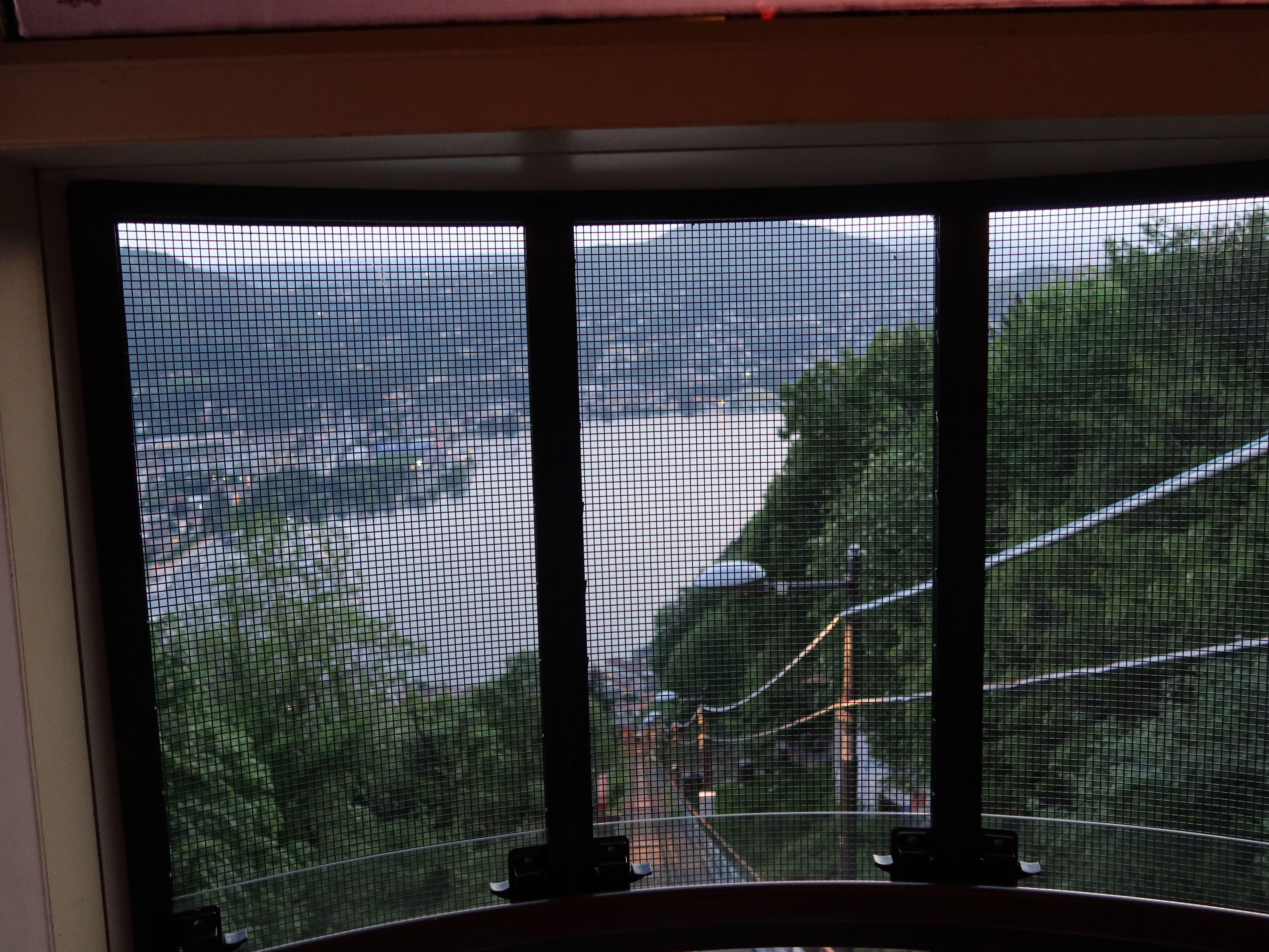 View from cable car through mesh, overlooking hilly landscape with water and dense greenery.