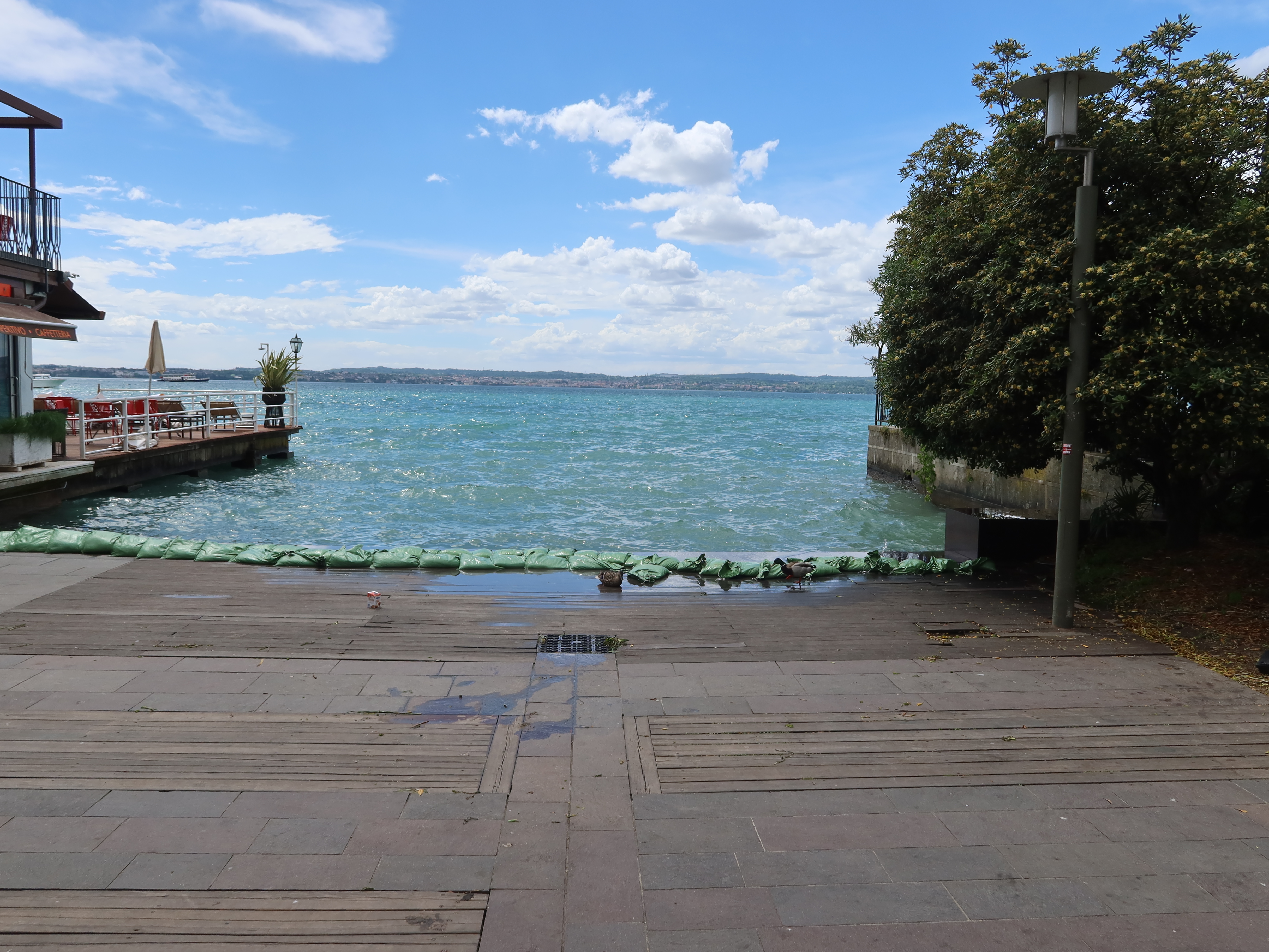 Waterfront Promenade with Dining and Sandbags Waterfront with promenade, green sandbags, dining area left, tree and lamp post right, cloudy sky.